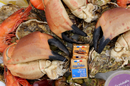 Plateau de fruit de mer à emporter chez L'Odacieuse Valras Plage