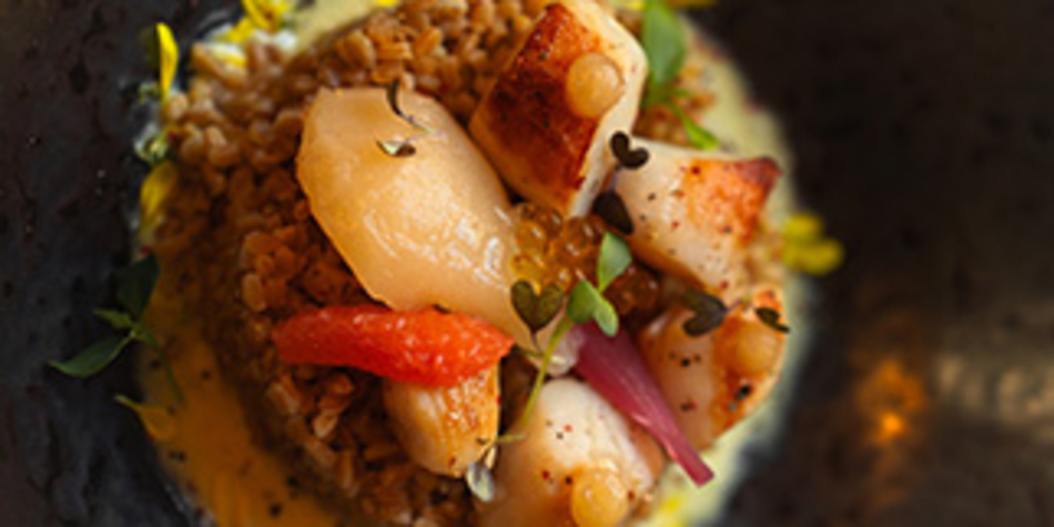 L'Orangerie Béziers • restaurant fait maison , type bistronomique (® facebook l'orangerie)