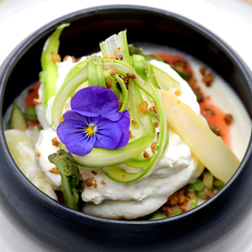 Le Bistrot de Colombiers, restaurant Fait maison à découvrir (® SAAM- fabrice CHORT)