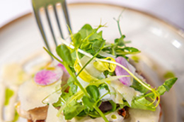 Le Patio Béziers, restaurant bistronomique avec une cuisine faite maison Le Patio Béziers, restaurant bistronomique avec une cuisine faite maison
